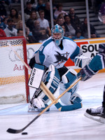 Sharks_1_30_03
